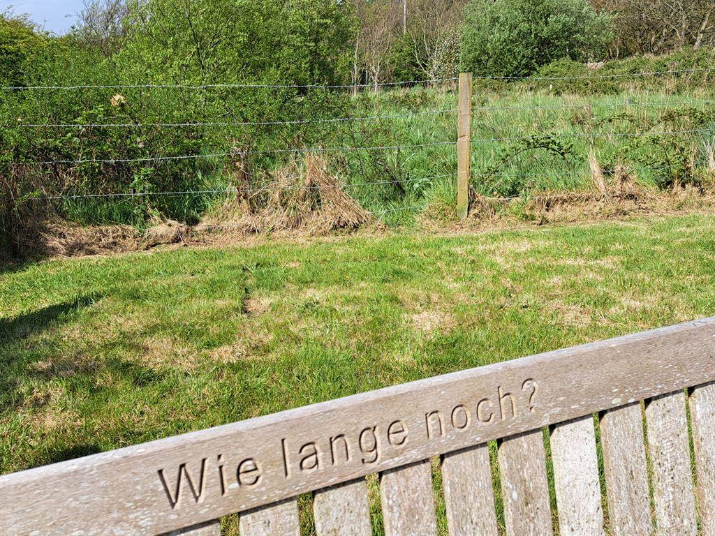 wielangenoch