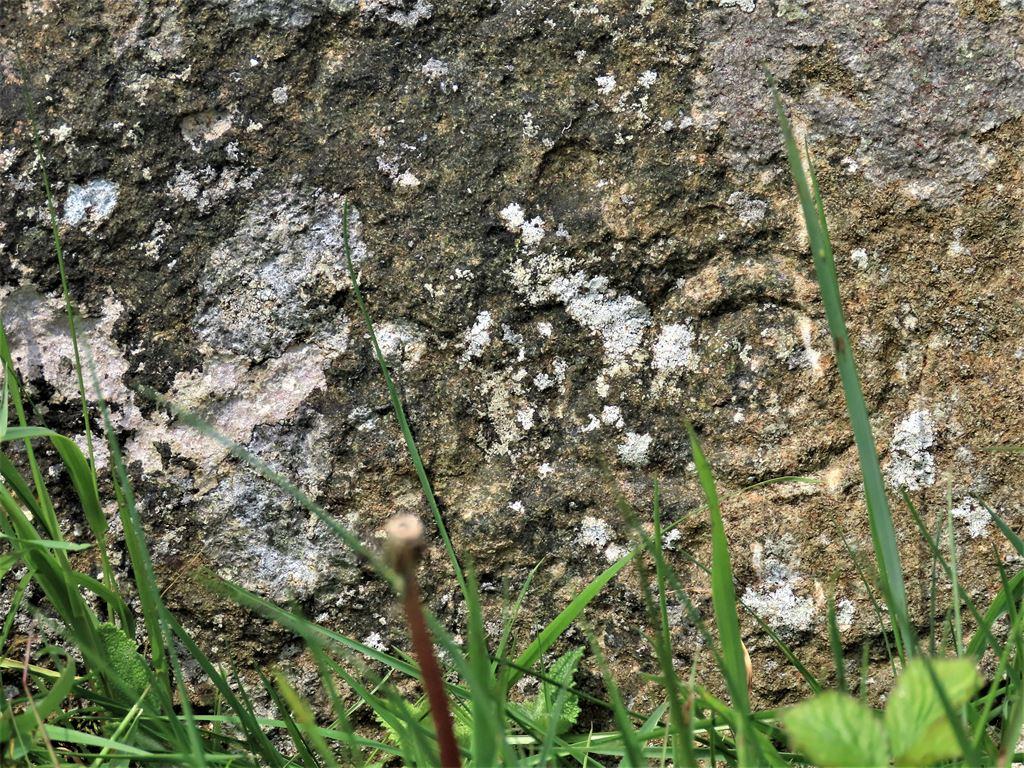 ss2