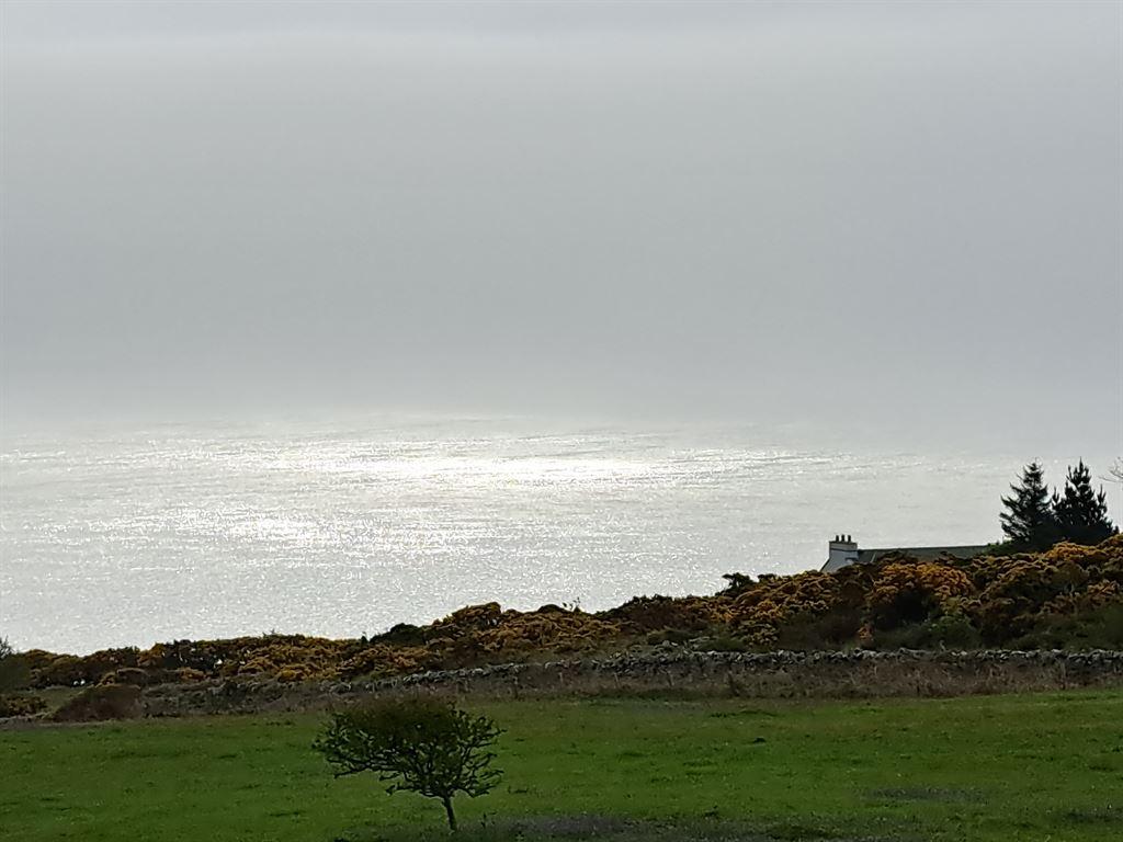 silverysea