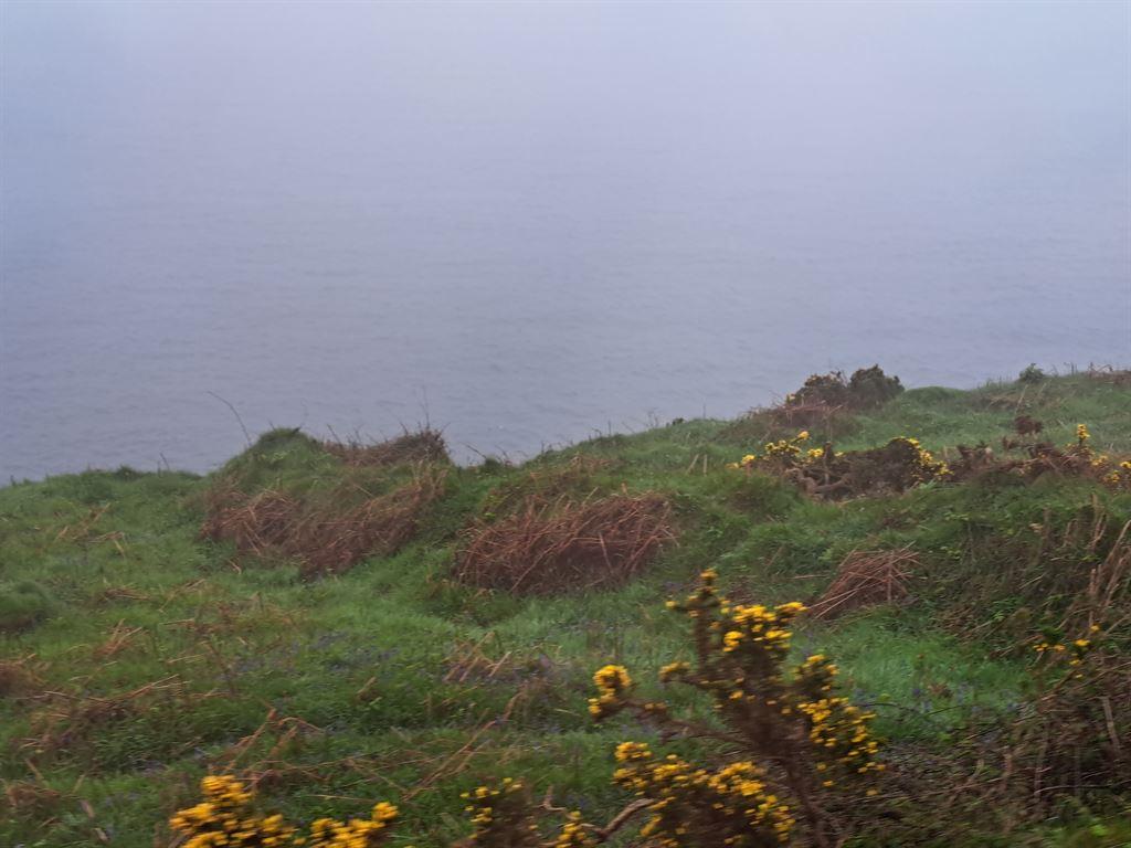 edge