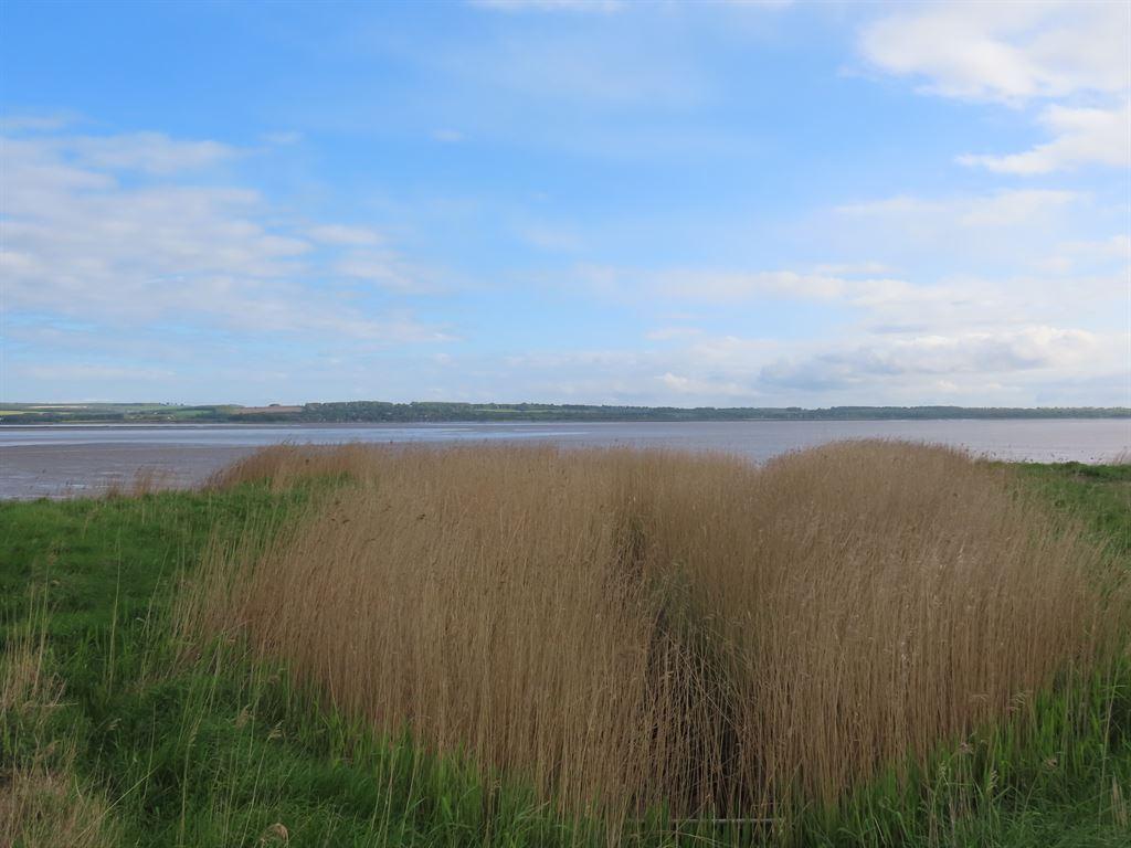 humber