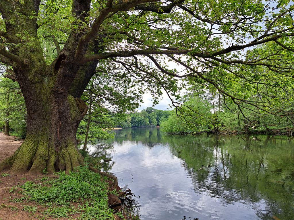lake