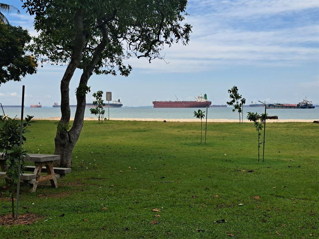 ecp