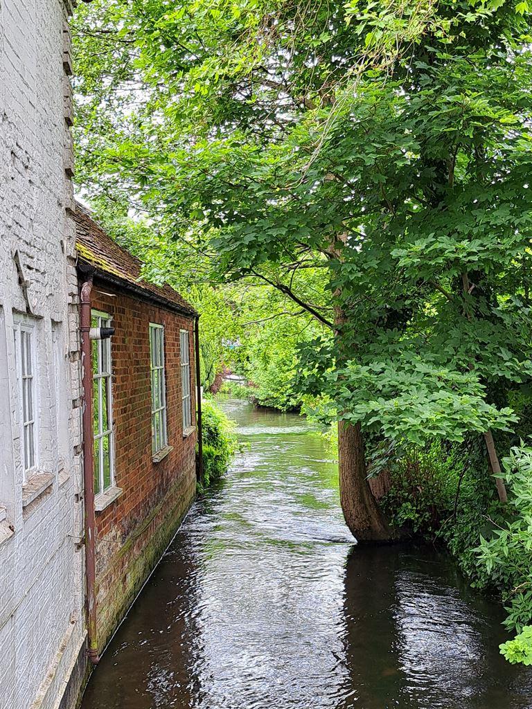 stream