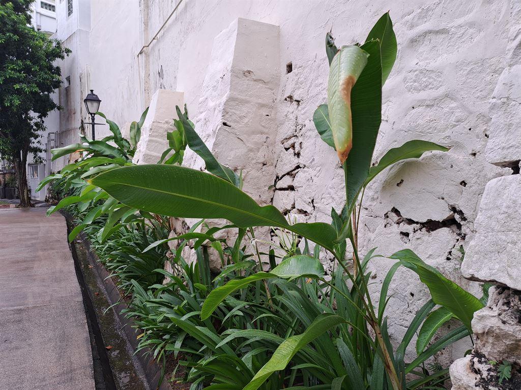 wall