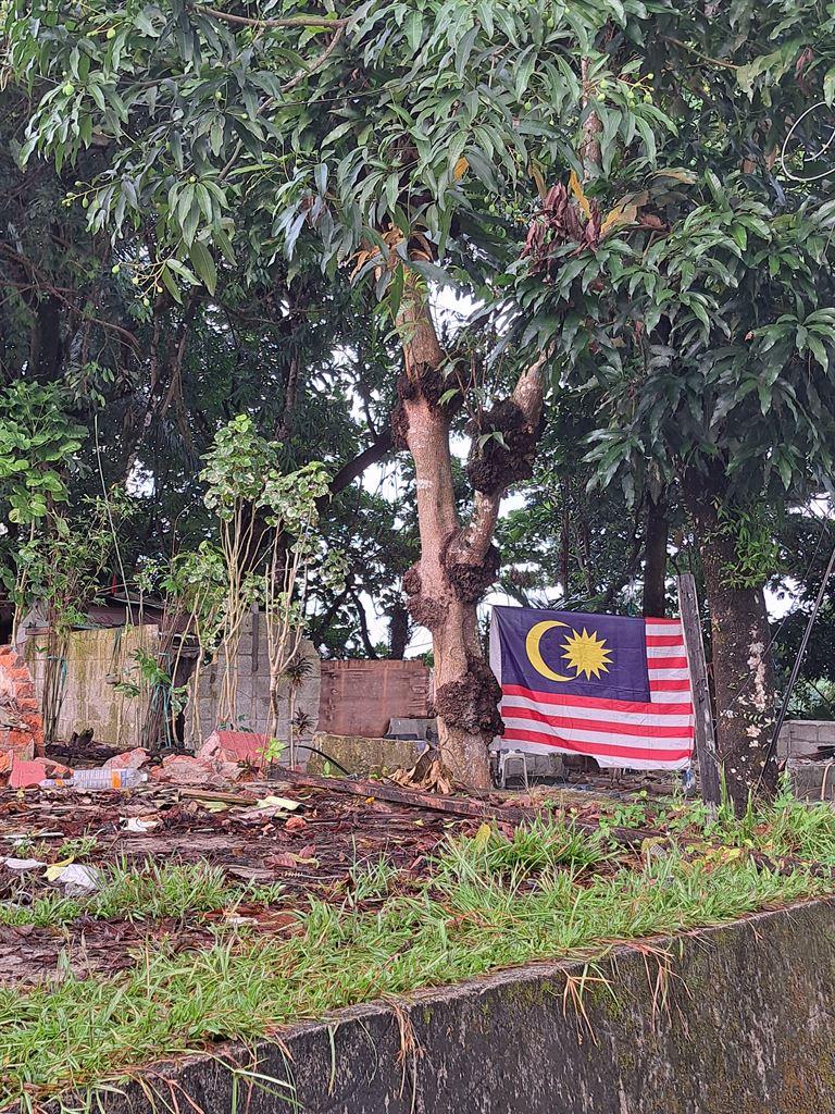flag