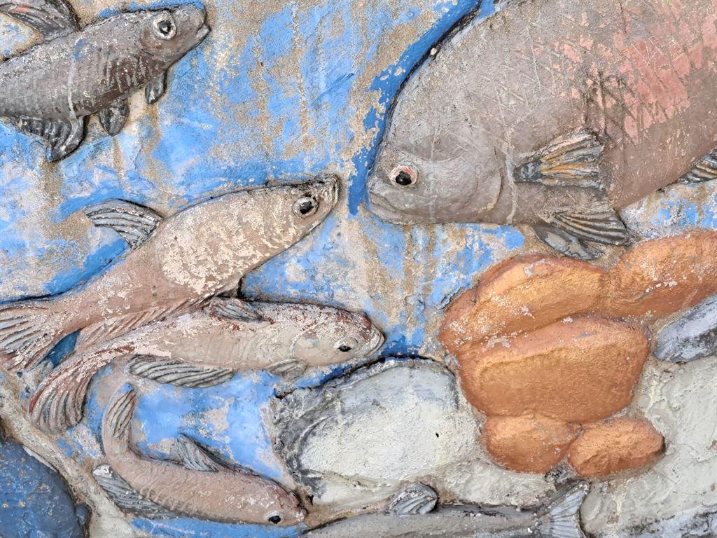 fish3