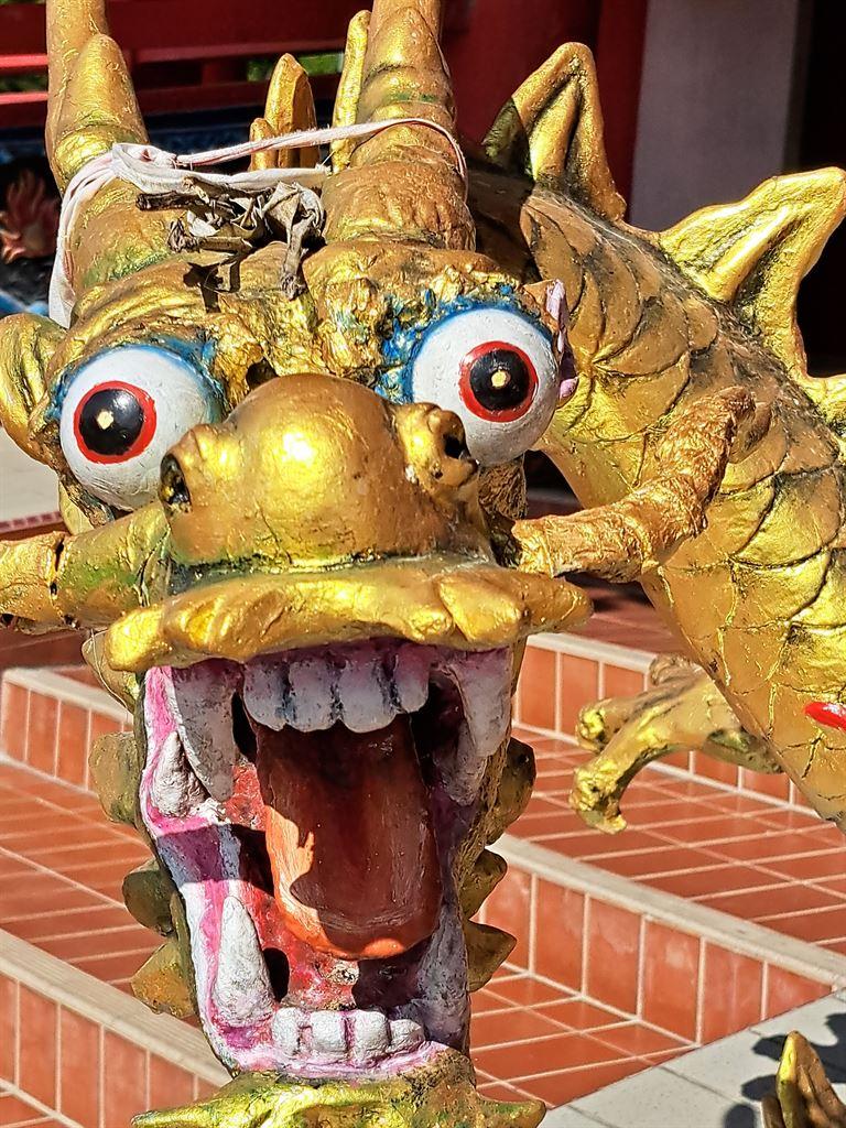 dragon