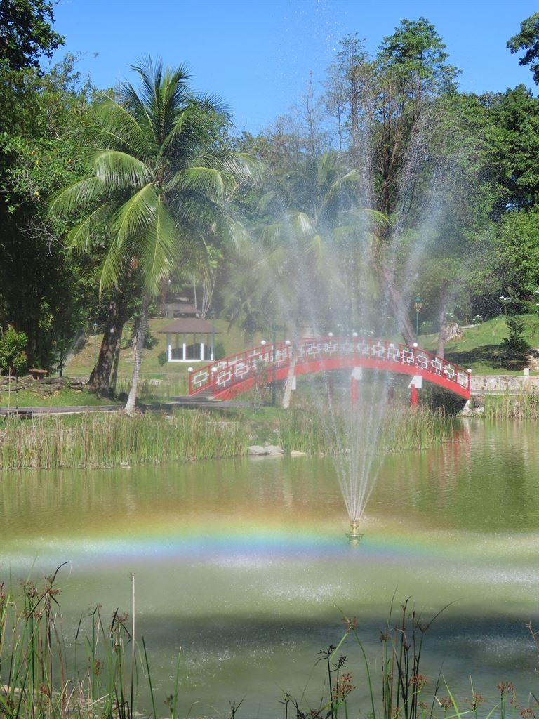 rainbow1