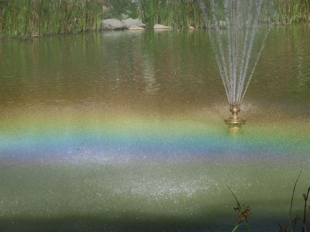 rainbow2