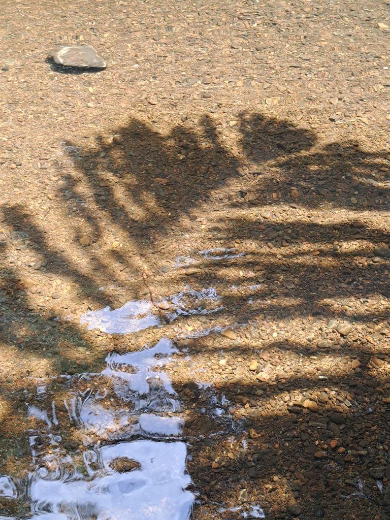shadows1