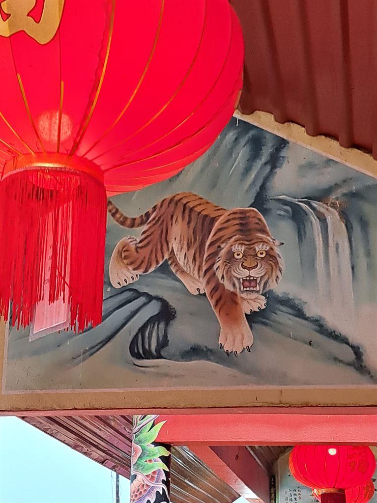tiger