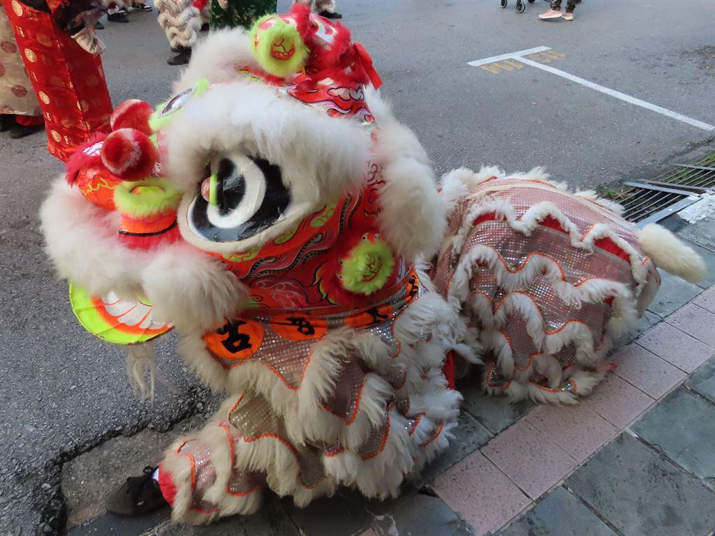sittinglion