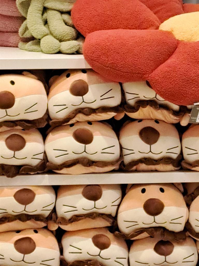 lions