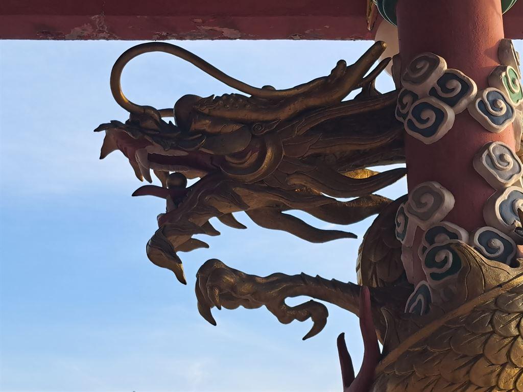 dragon4