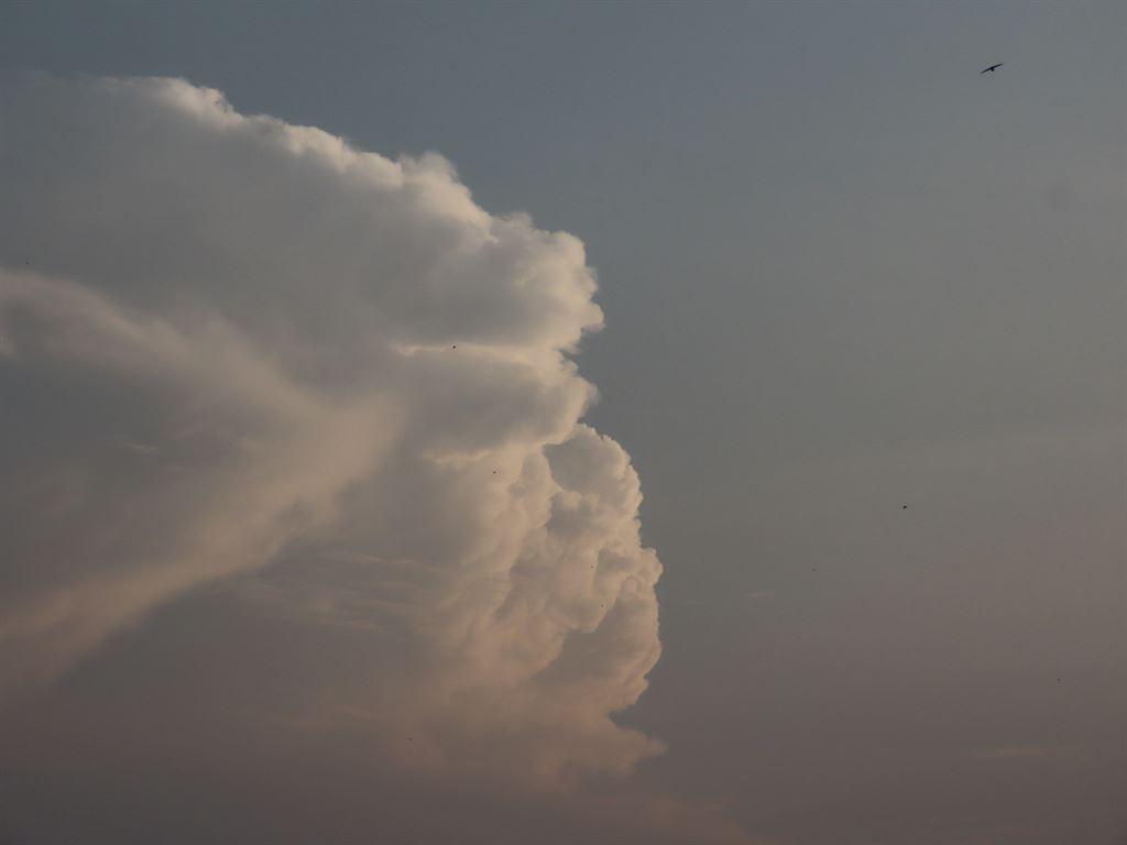 sky2