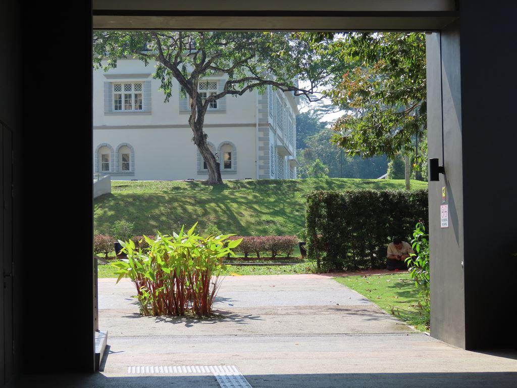 viewfrommuseum