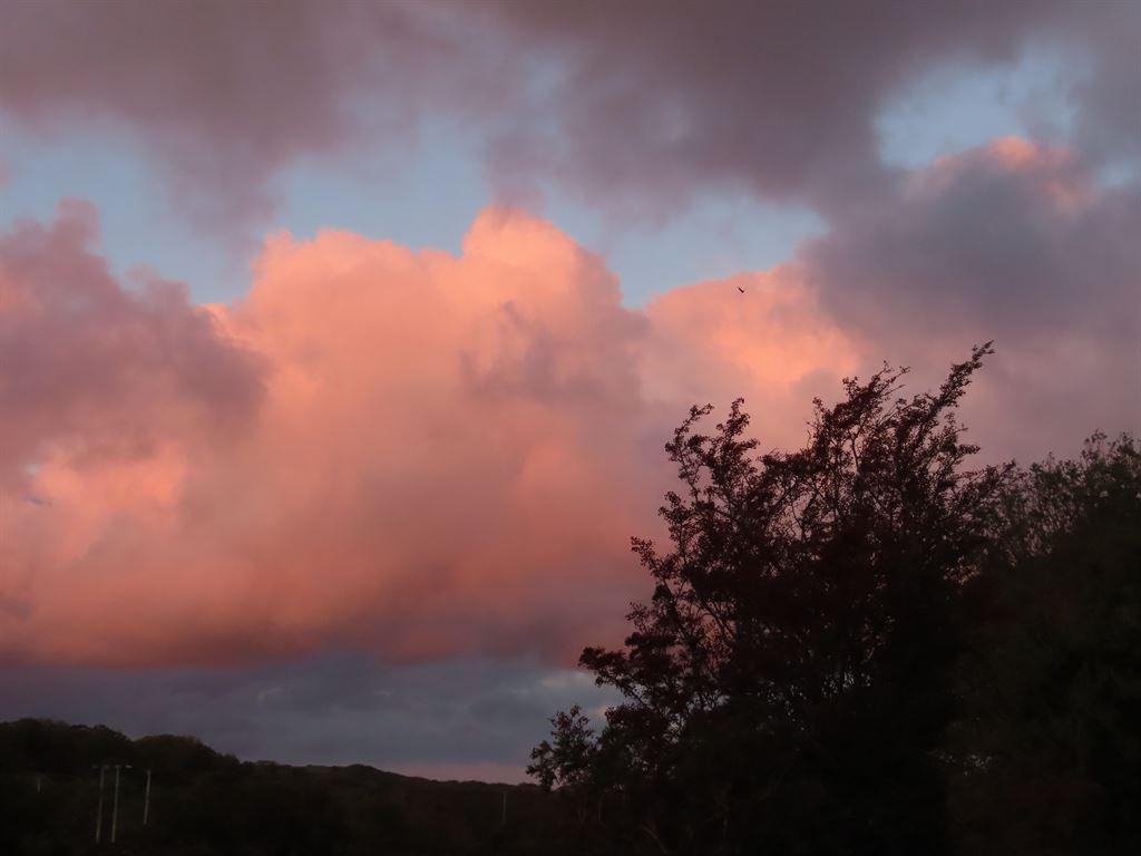 pink