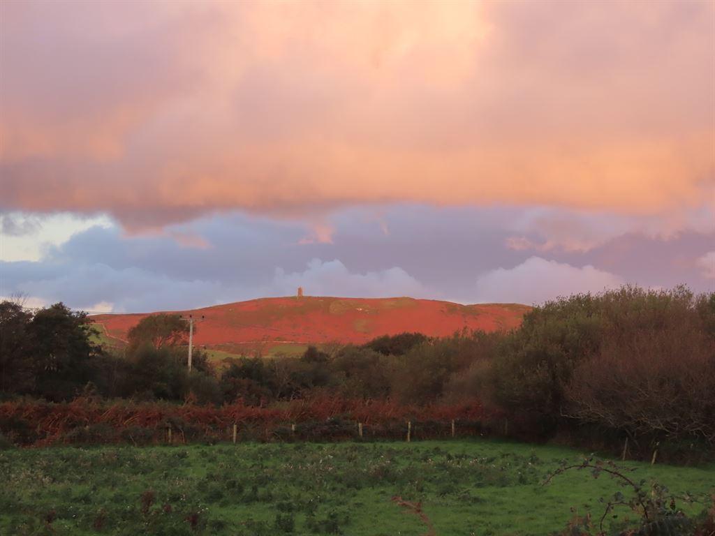peelhill