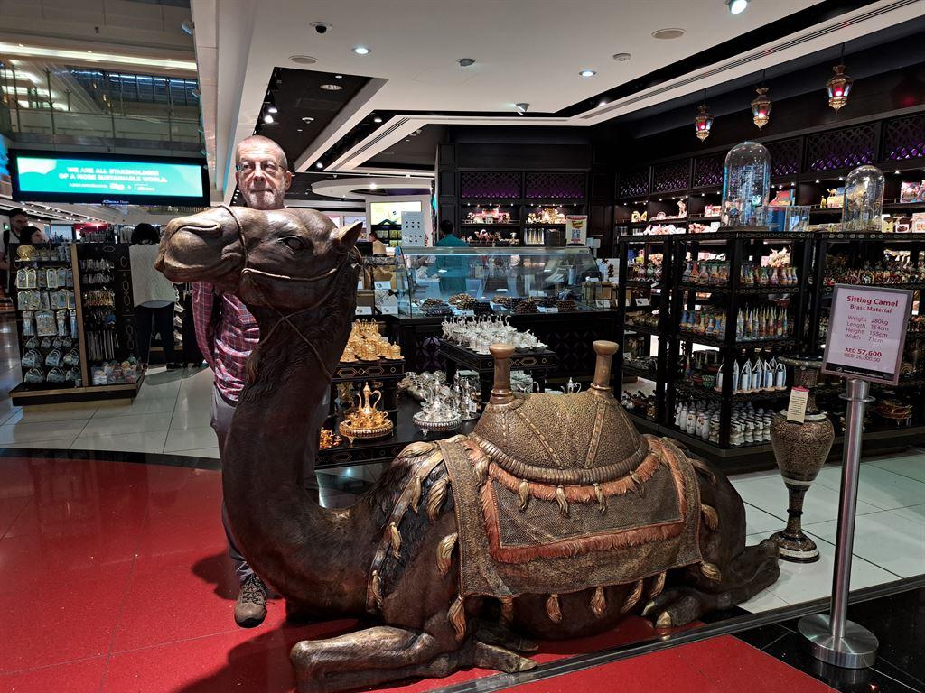 camel