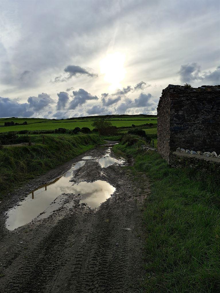 puddle