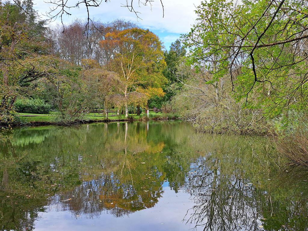 lake