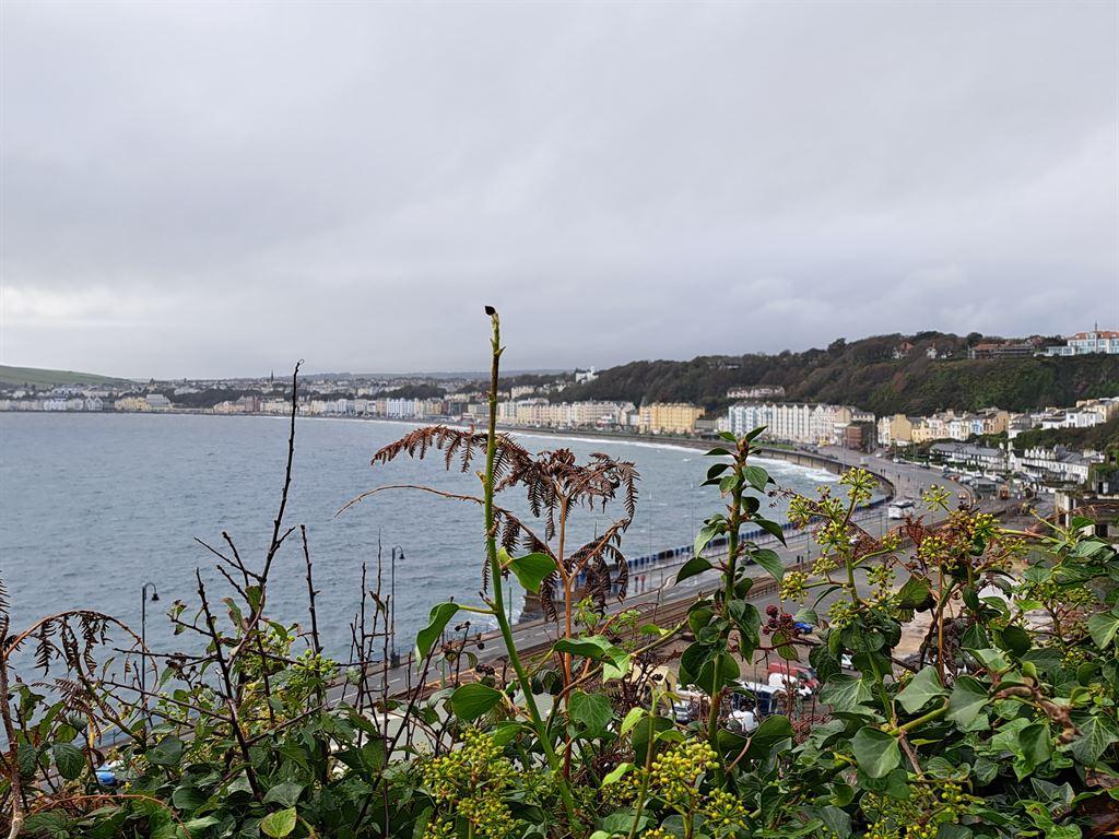 bay