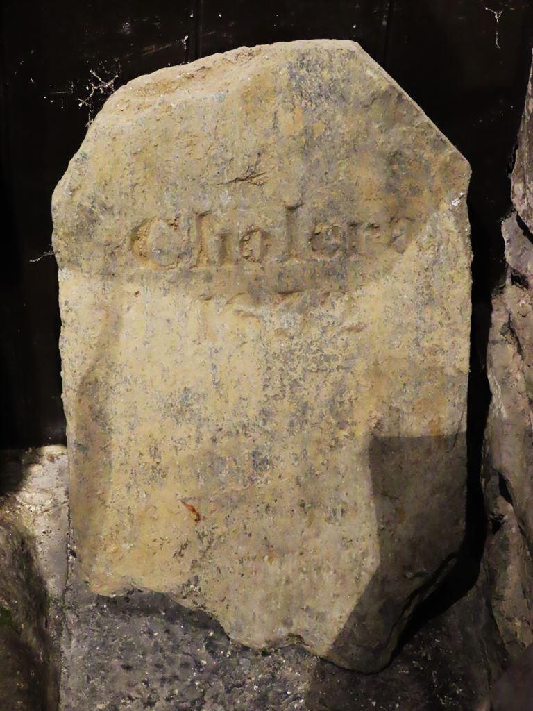 cholera1