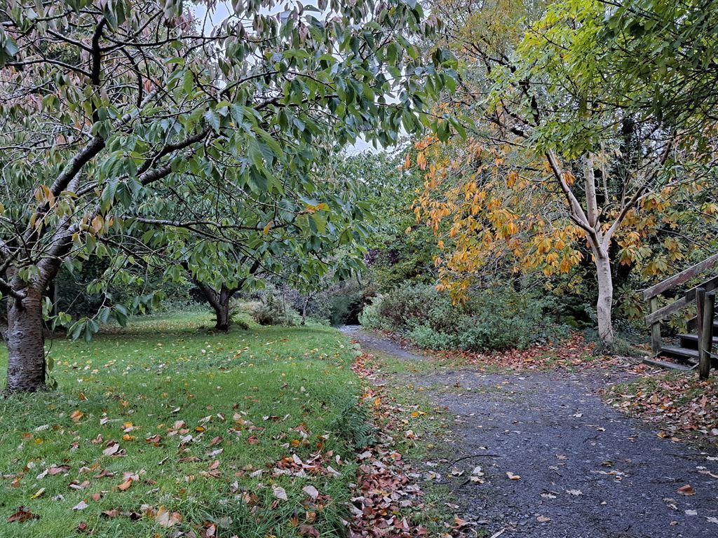 leavesonpath
