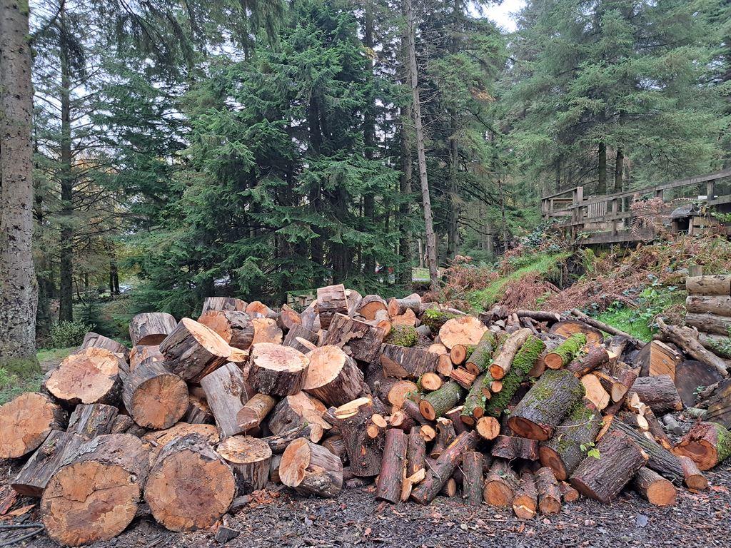 wood