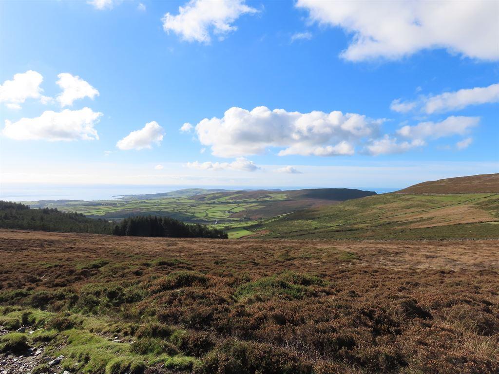 moorland1