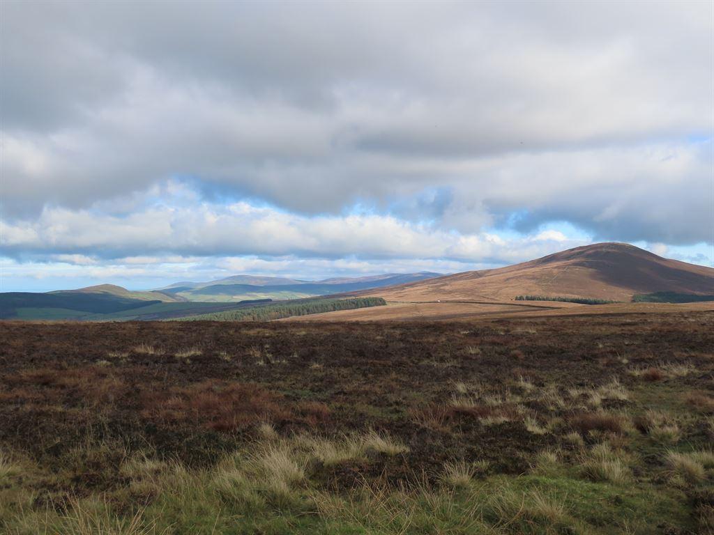view1
