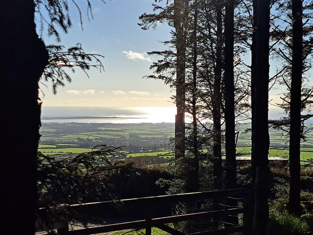 treesview