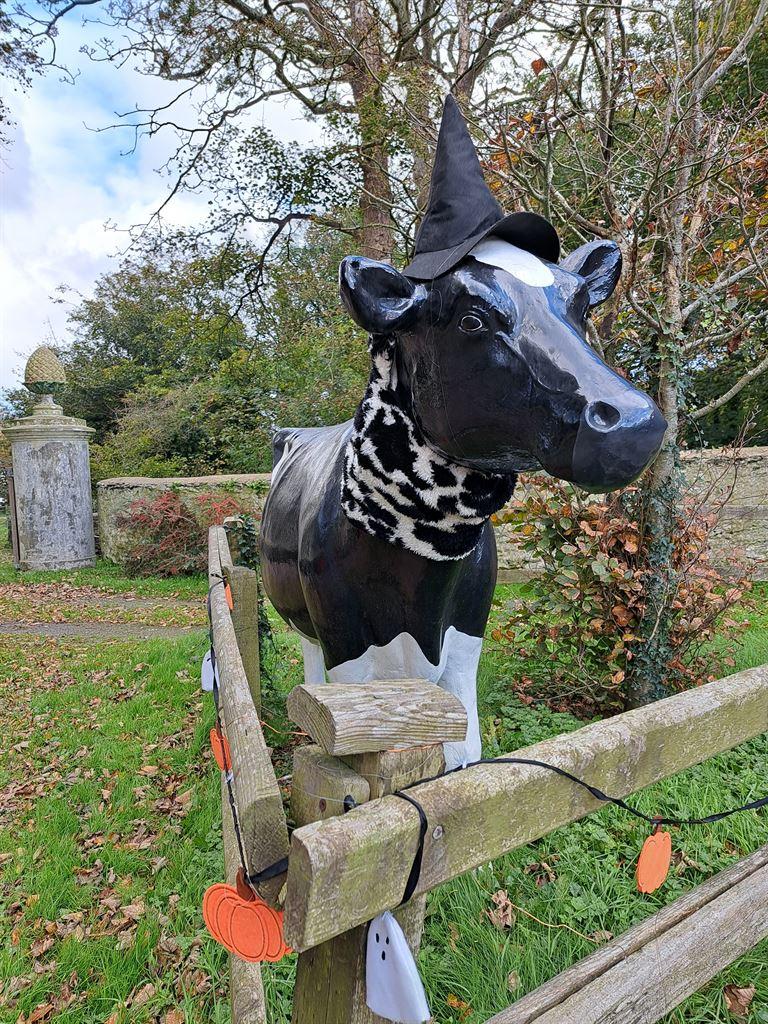 cow