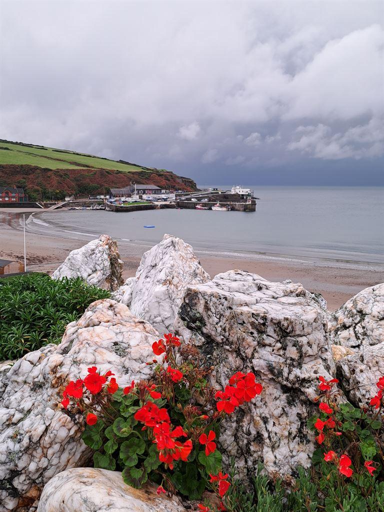 porterin2