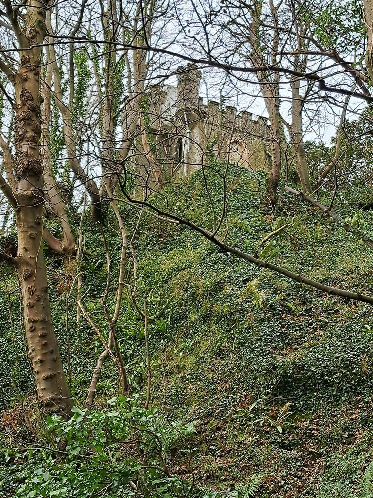 falconcliff2