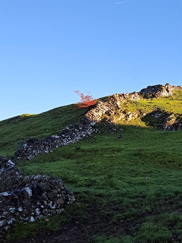 hillside1