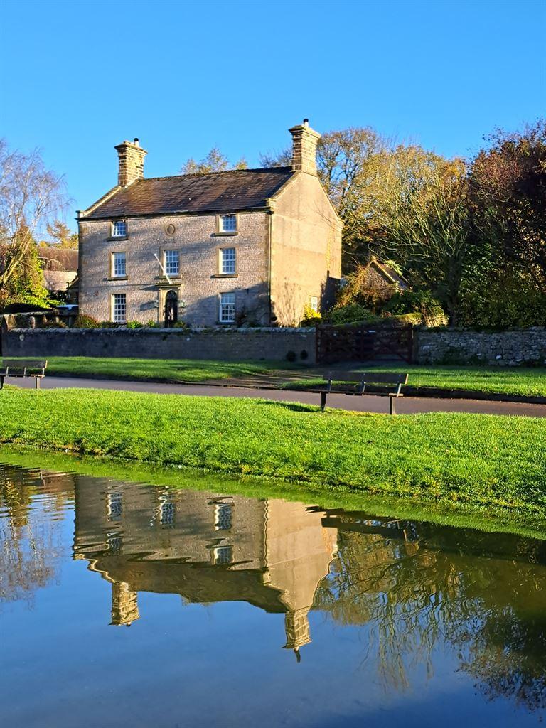 pond