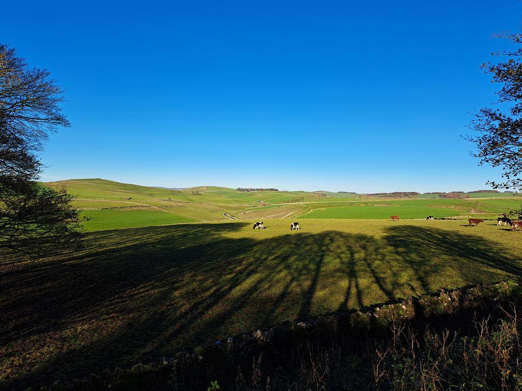 fields