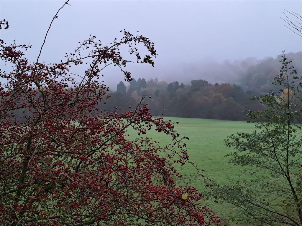 valley1