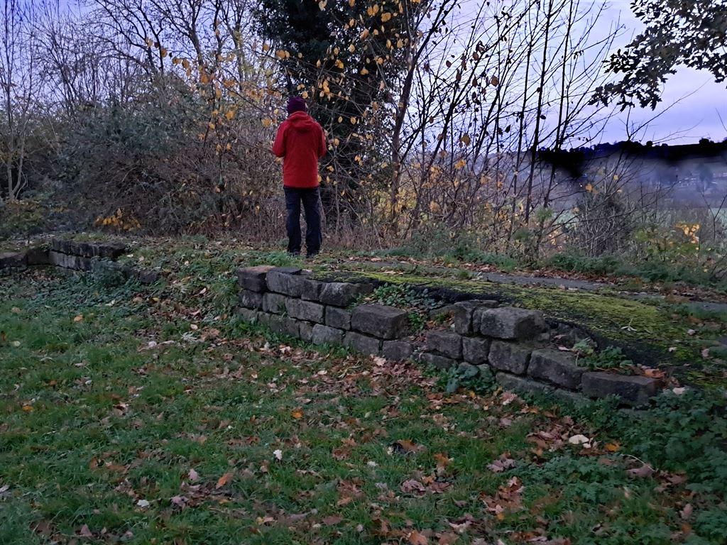nigel