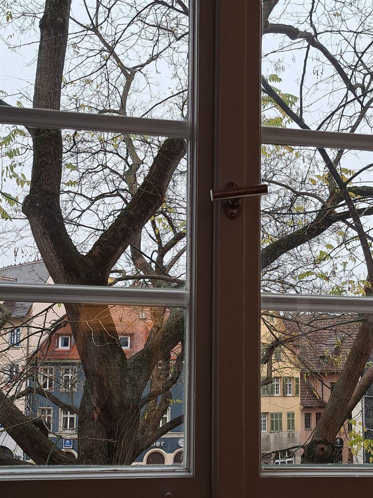 window