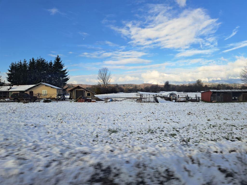 snow1