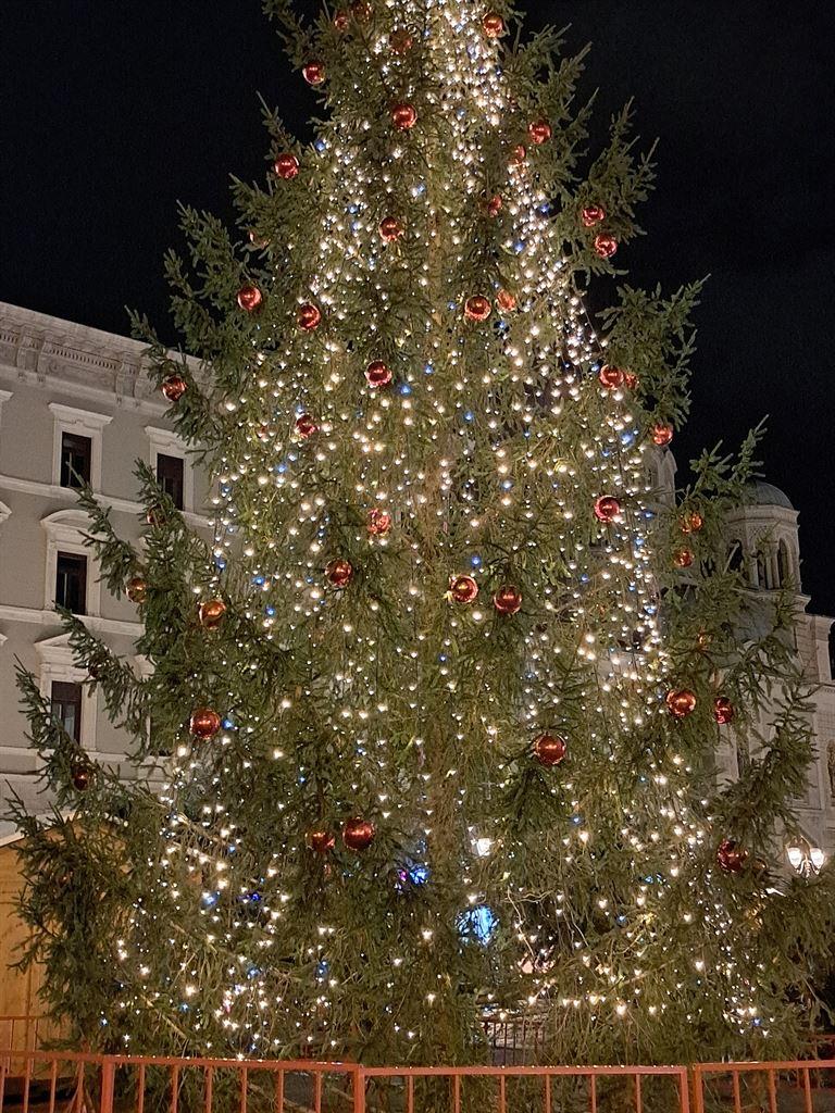 tree