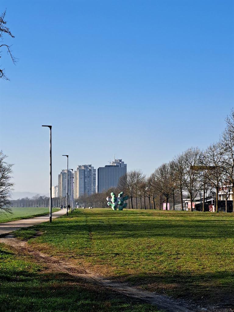 overview
