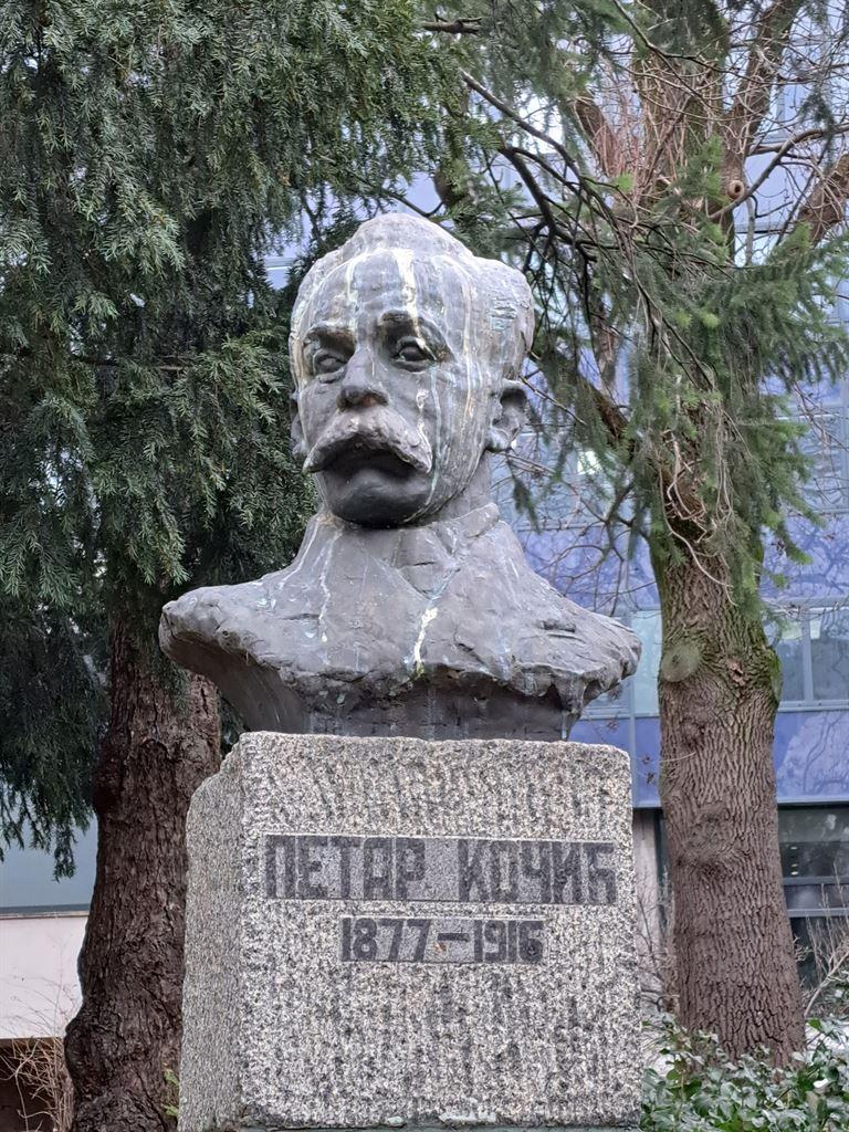kocic