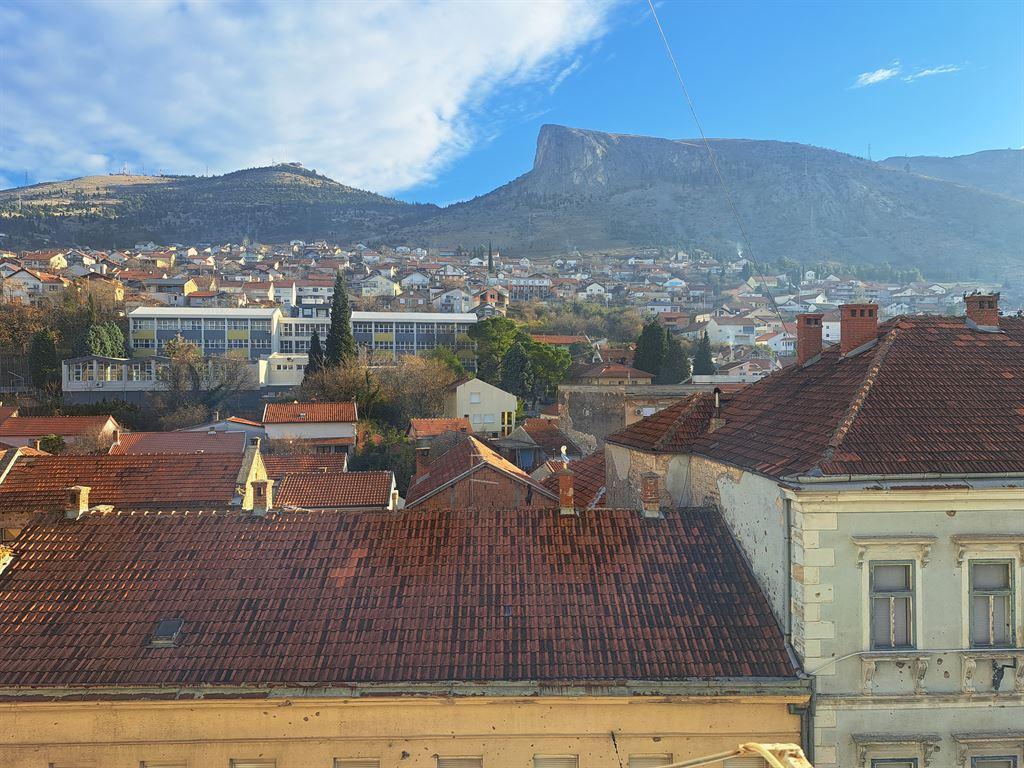 view