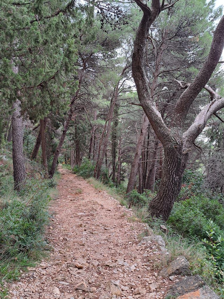 path