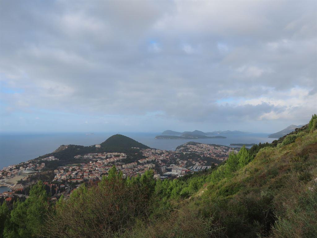 view