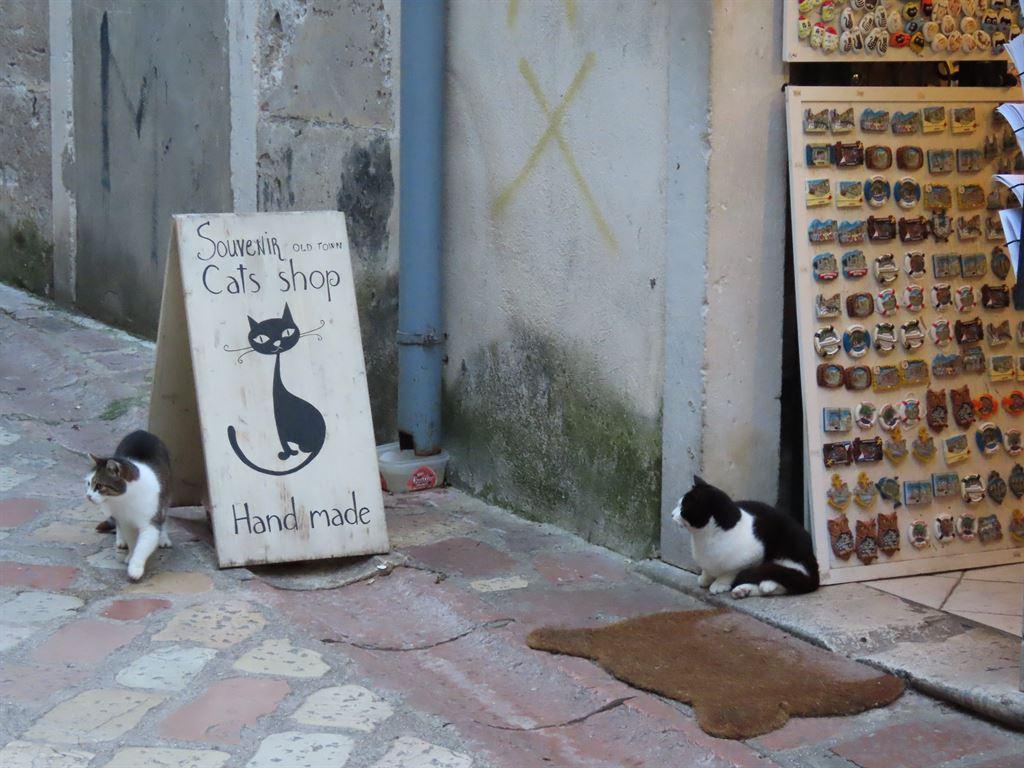 2cats2